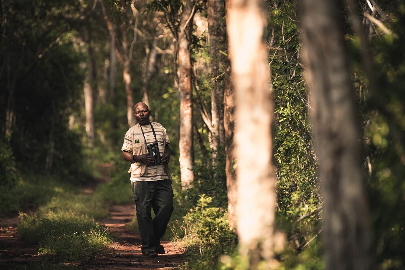 Arabuko Sokoke Forest Tour from Watamu | Guided Excrusion