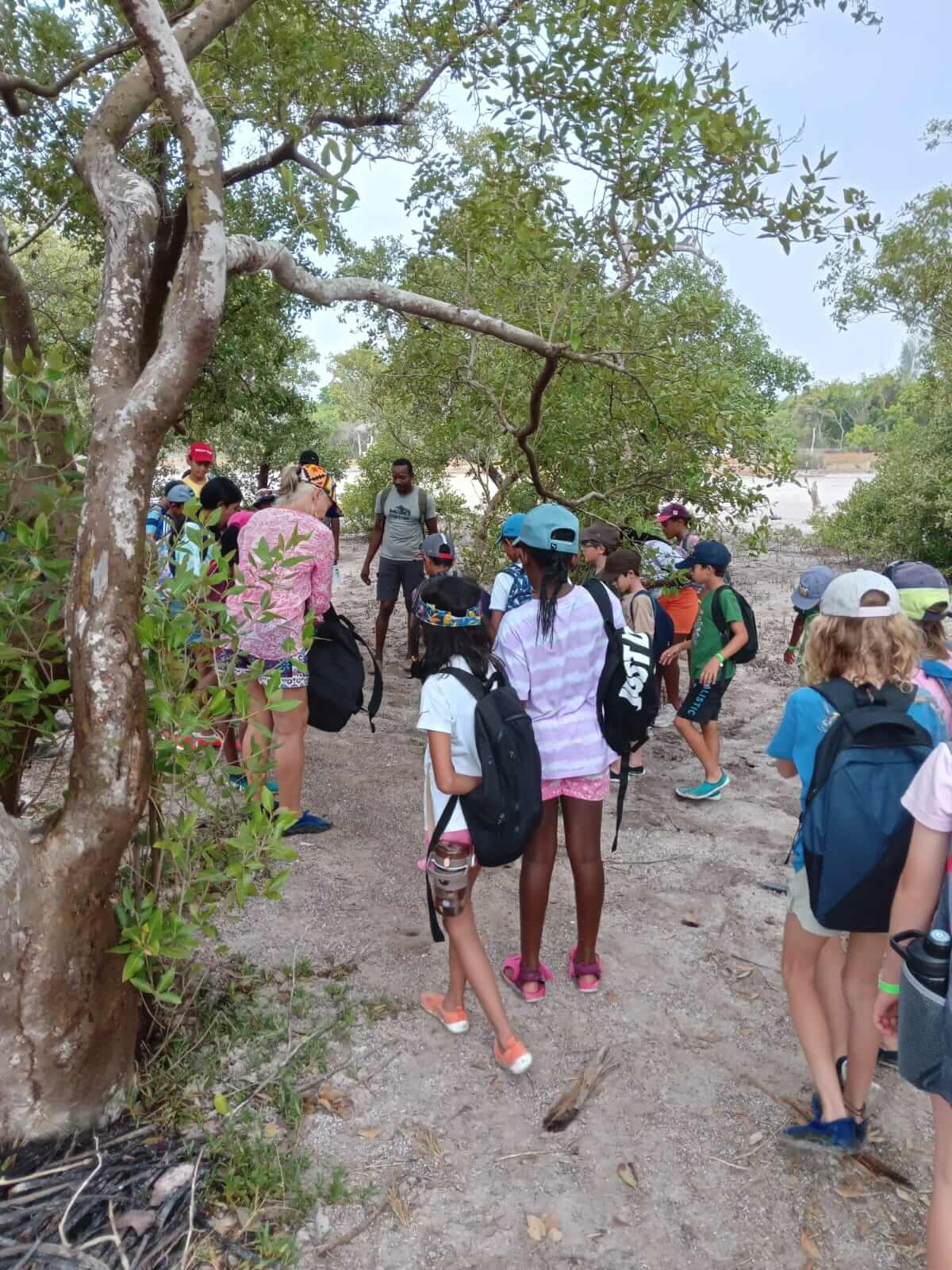 Mida Creek Boardwalk Adventure